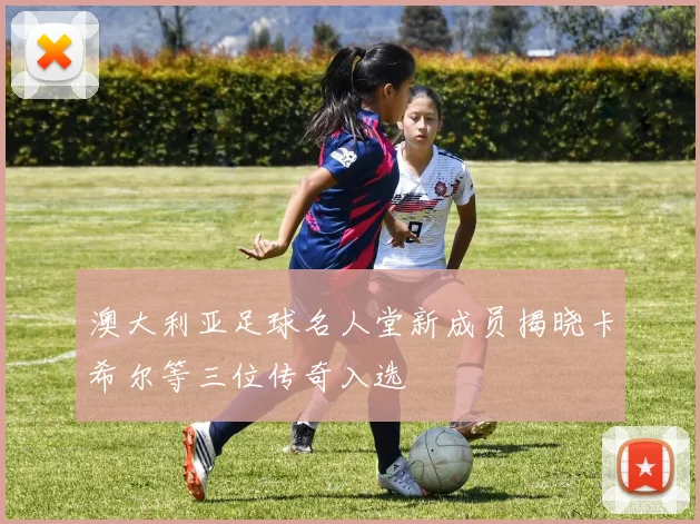 澳大利亚足球名人堂新成员揭晓卡希尔等三位传奇入选