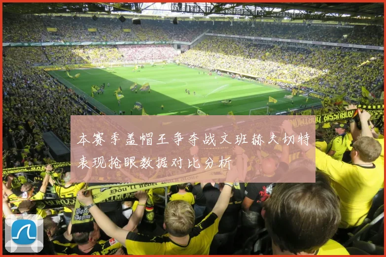 本赛季盖帽王争夺战文班赫夫切特表现抢眼数据对比分析